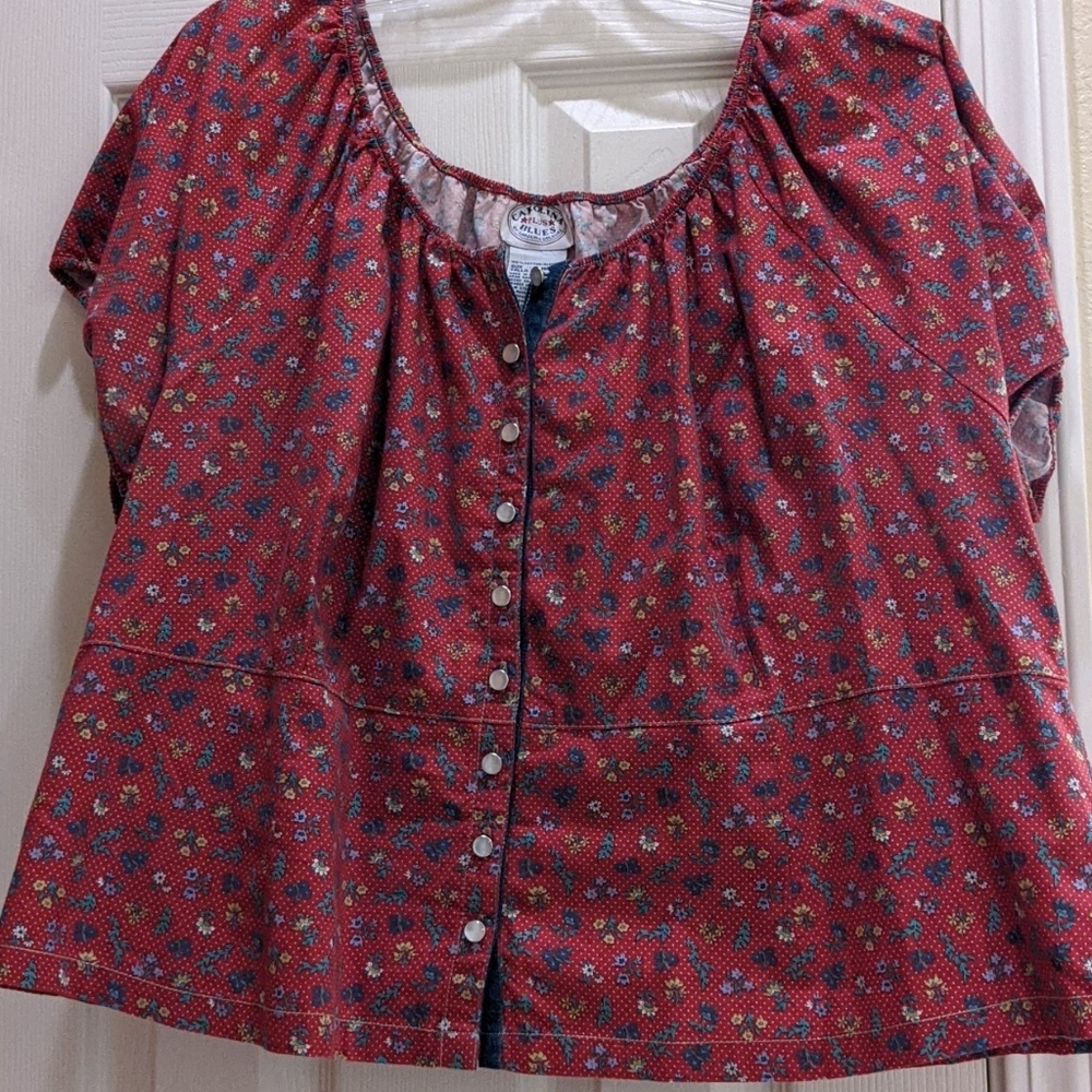 Size 24 Carolina blues blouse.